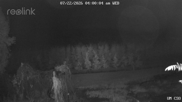 time-lapse frame, UM CSO webcam