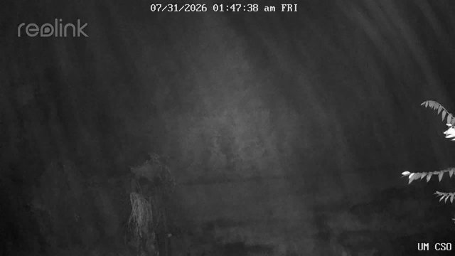 time-lapse frame, UM CSO webcam