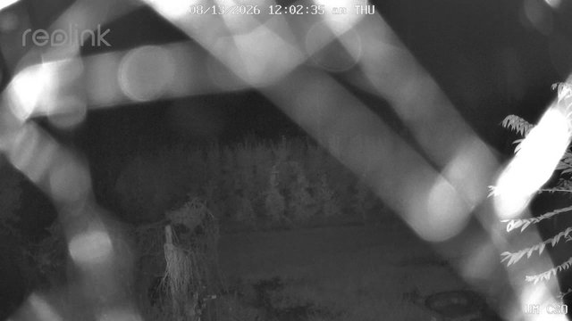 time-lapse frame, UM CSO webcam