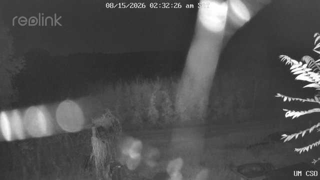 time-lapse frame, UM CSO webcam