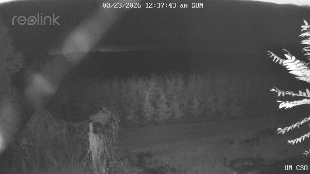 time-lapse frame, UM CSO webcam