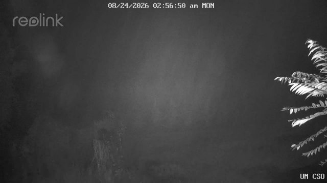 time-lapse frame, UM CSO webcam