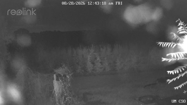 time-lapse frame, UM CSO webcam