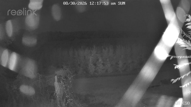 time-lapse frame, UM CSO webcam