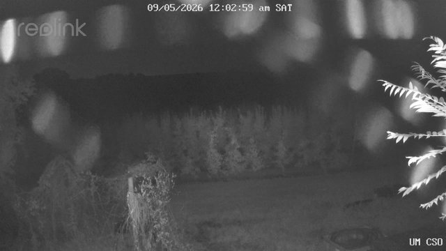 time-lapse frame, UM CSO webcam