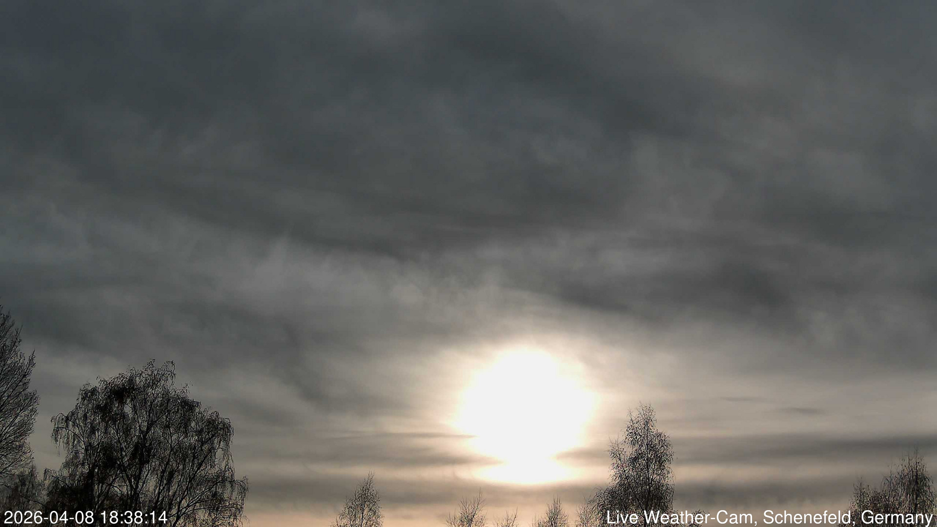 time-lapse frame, 2026-04-08 18:38-21:08 webcam