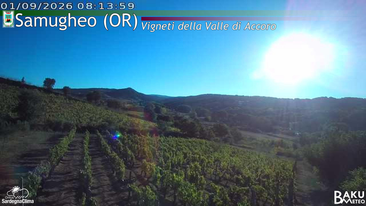 view from Samugheo on 2026-09-01