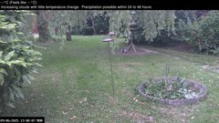 view from Wembury, Devon. Garden Zoom Cam on 2025-06-09