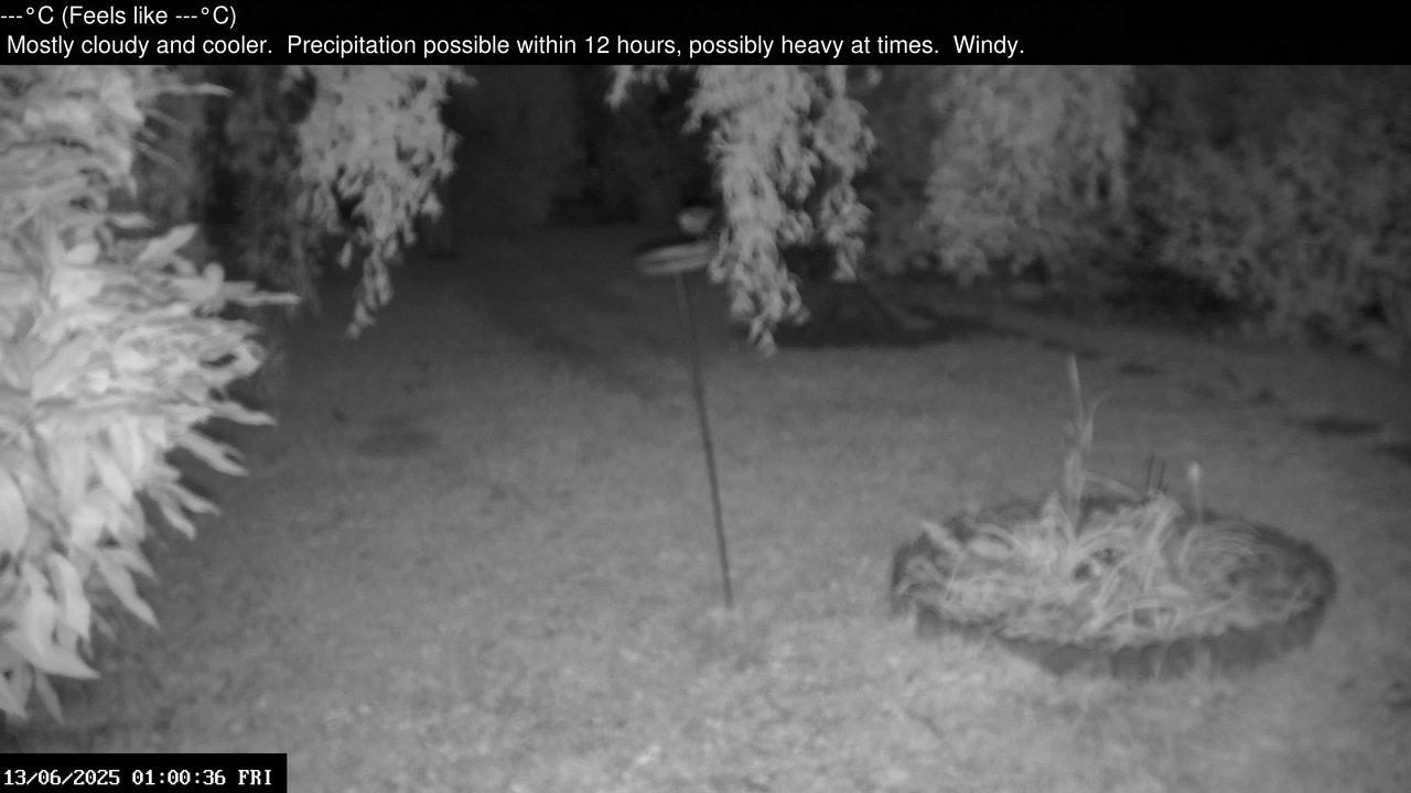 time-lapse frame, Wembury, Devon. Garden Zoom Cam webcam