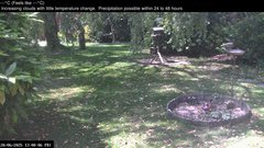 view from Wembury, Devon. Garden Zoom Cam on 2025-06-20