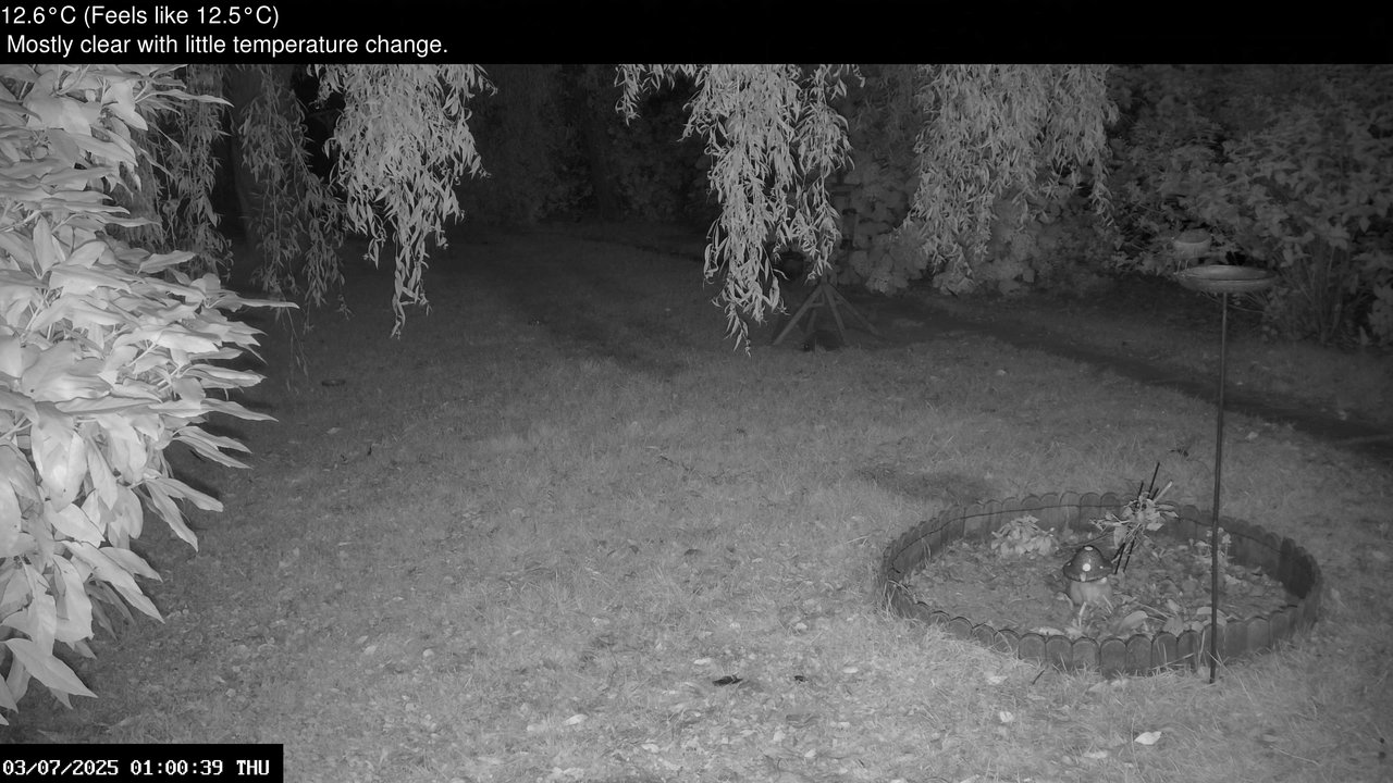 time-lapse frame, Wembury, Devon. Garden Zoom Cam webcam