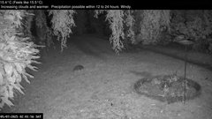 view from Wembury, Devon. Garden Zoom Cam on 2025-07-05