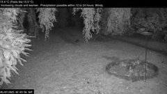 view from Wembury, Devon. Garden Zoom Cam on 2025-07-05
