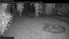 view from Wembury, Devon. Garden Zoom Cam on 2025-07-05