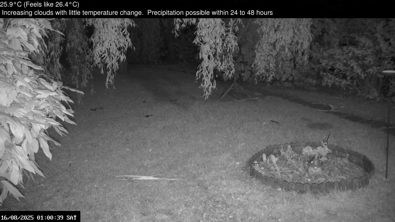 time-lapse frame, Wembury, Devon. Garden Zoom Cam webcam