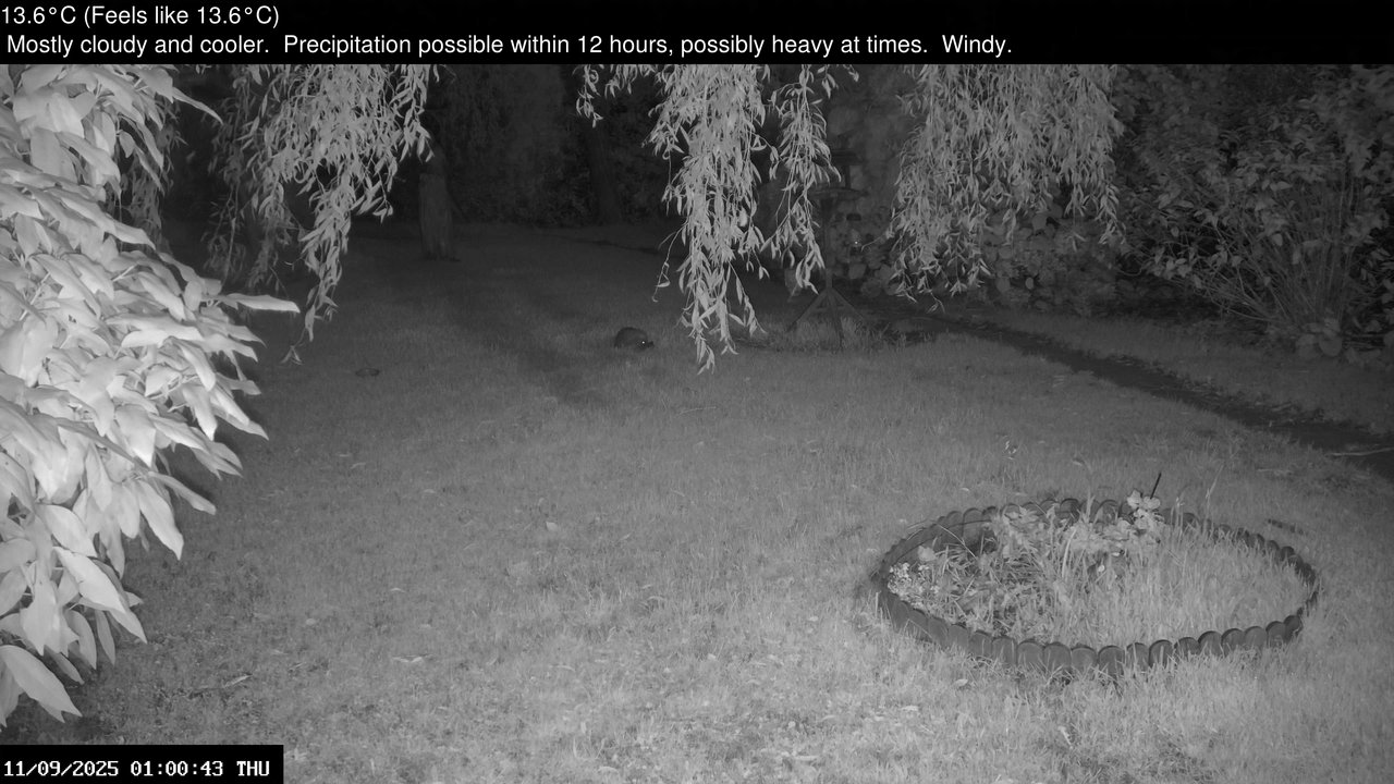 time-lapse frame, Wembury, Devon. Garden Zoom Cam webcam