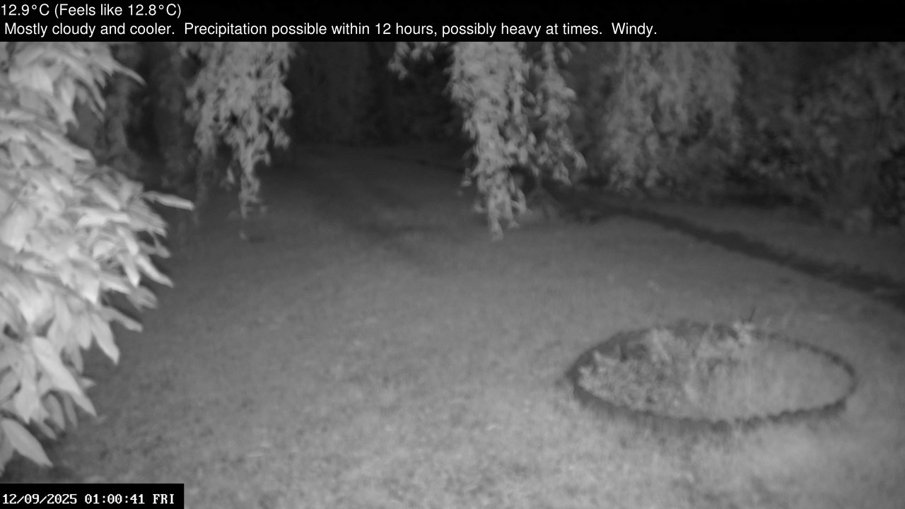 time-lapse frame, Wembury, Devon. Garden Zoom Cam webcam