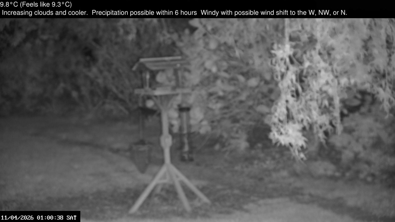 time-lapse frame, Wembury, Devon. Garden Zoom Cam webcam