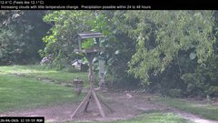 view from Wembury, Devon. Garden Zoom Cam on 2026-04-20