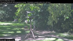 view from Wembury, Devon. Garden Zoom Cam on 2026-04-24