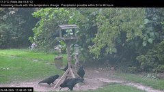 view from Wembury, Devon. Garden Zoom Cam on 2026-04-26