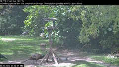 view from Wembury, Devon. Garden Zoom Cam on 2026-05-01