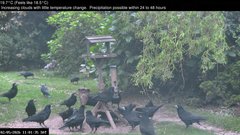 view from Wembury, Devon. Garden Zoom Cam on 2026-05-02