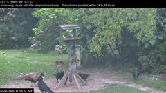 view from Wembury, Devon. Garden Zoom Cam on 2026-05-02