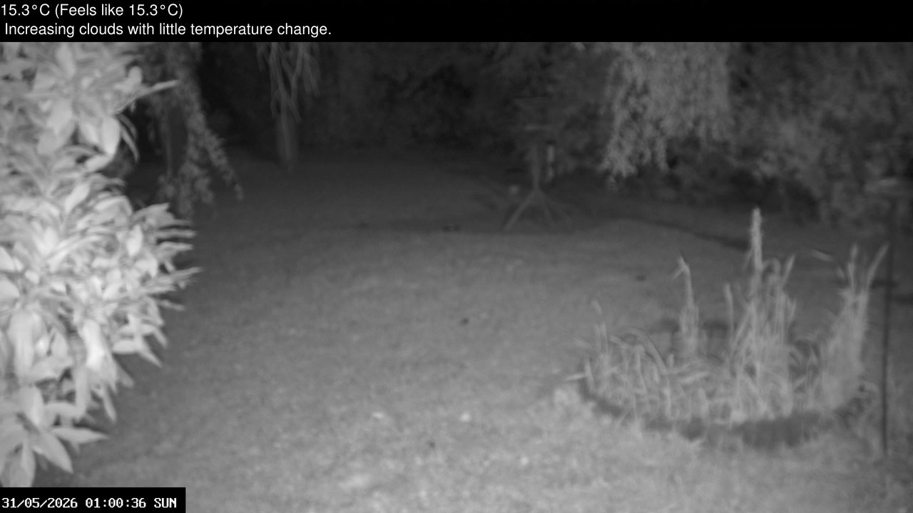 time-lapse frame, Wembury, Devon. Garden Zoom Cam webcam