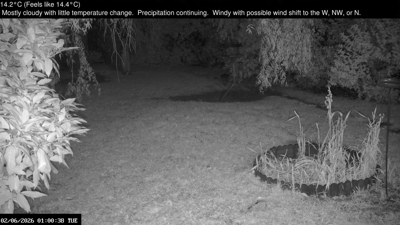 time-lapse frame, Wembury, Devon. Garden Zoom Cam webcam
