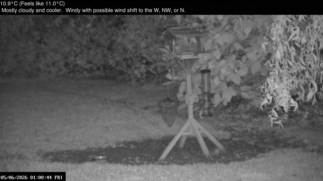 time-lapse frame, Wembury, Devon. Garden Zoom Cam webcam