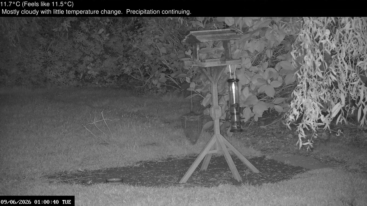 time-lapse frame, Wembury, Devon. Garden Zoom Cam webcam