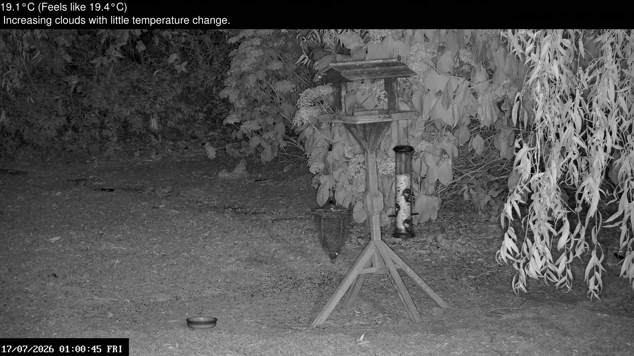 time-lapse frame, Wembury, Devon. Garden Zoom Cam webcam