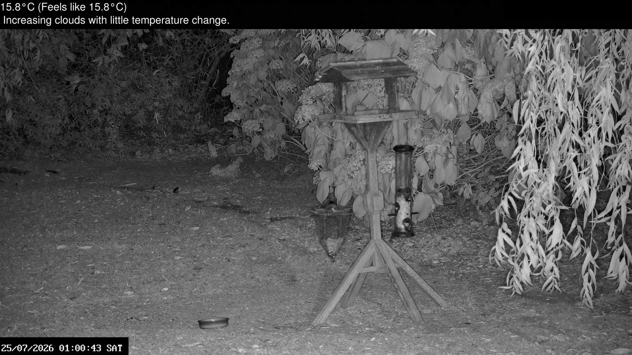 time-lapse frame, Wembury, Devon. Garden Zoom Cam webcam