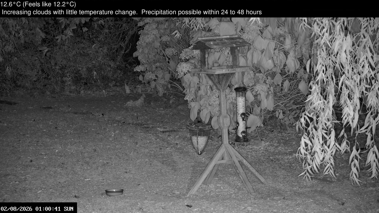 time-lapse frame, Wembury, Devon. Garden Zoom Cam webcam