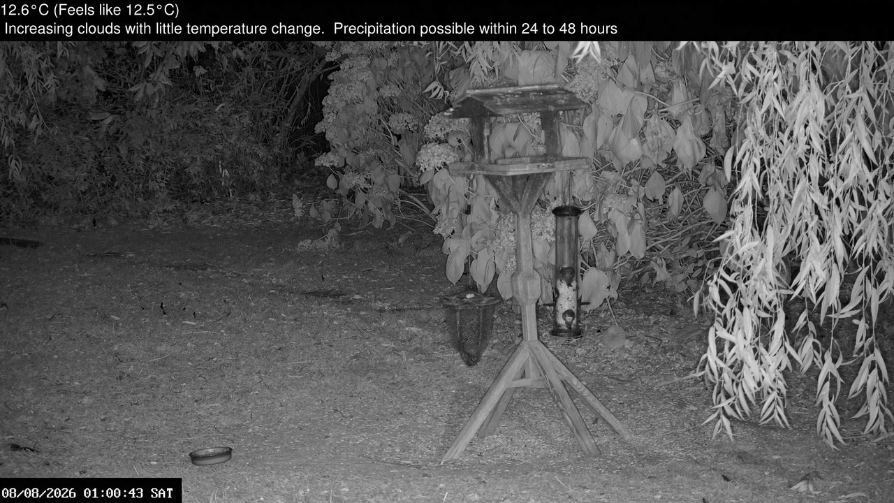 time-lapse frame, Wembury, Devon. Garden Zoom Cam webcam