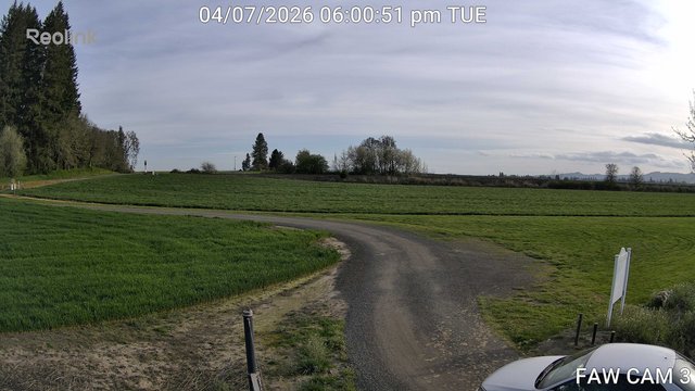 time-lapse frame, FAW CAM 3 webcam