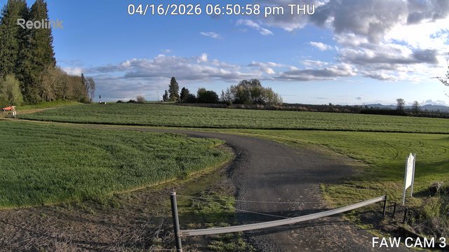 FAW CAM 3 animated GIF