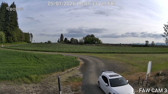 time-lapse frame, FAW CAM 3 webcam