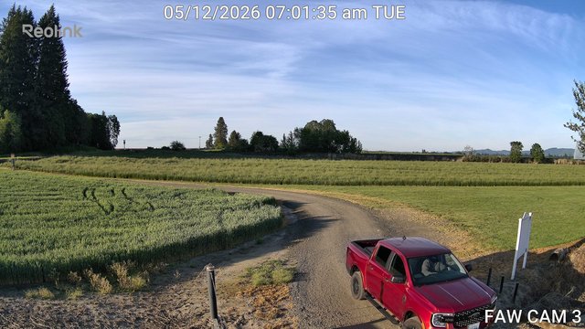 time-lapse frame, FAW CAM 3 webcam