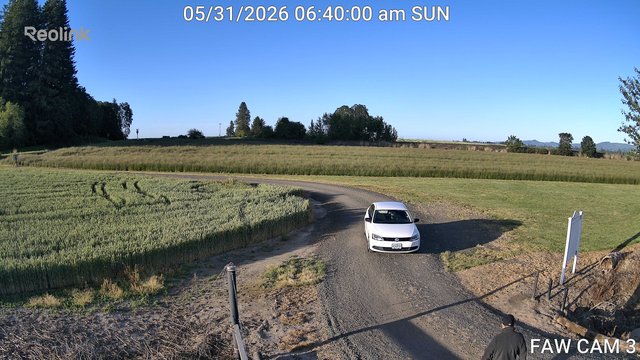 time-lapse frame, FAW CAM 3 webcam