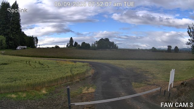 time-lapse frame, FAW CAM 3 webcam