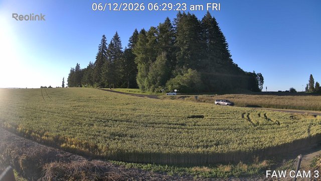 time-lapse frame, FAW CAM 3 webcam