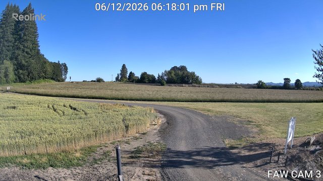 time-lapse frame, FAW CAM 3 webcam