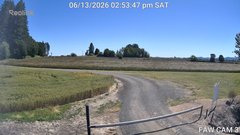 view from FAW CAM 3 on 2026-06-13