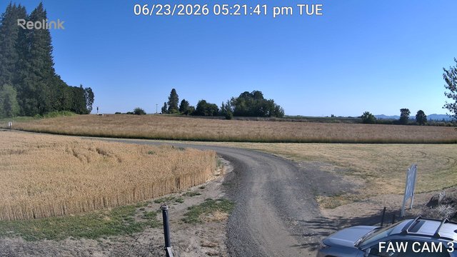 time-lapse frame, FAW CAM 3 webcam