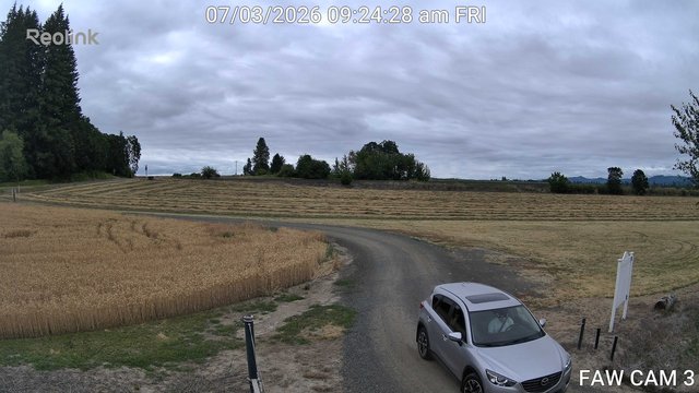 time-lapse frame, FAW CAM 3 webcam