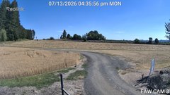 view from FAW CAM 3 on 2026-07-13