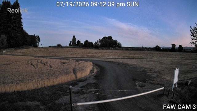 time-lapse frame, FAW CAM 3 webcam
