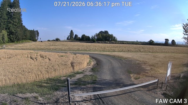 time-lapse frame, FAW CAM 3 webcam